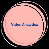 Vision Analytica Avatar