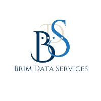 Brim Data Services Avatar