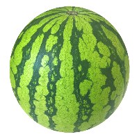 Big Watermelon 大西瓜 Avatar