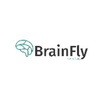 BrainFly Solutions Avatar