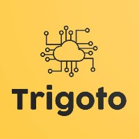 Trigoto Digital Avatar