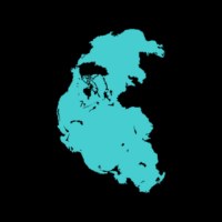 Pangea Holdings Avatar