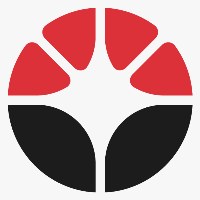 Stellaris Consulting Avatar