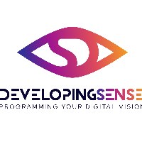 Developingsense Wordpress Experts Avatar