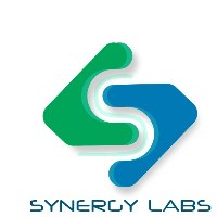 Synergy Labs Avatar