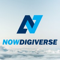Nowdigiverse Avatar
