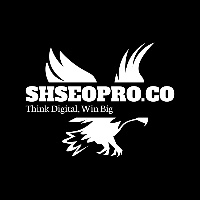 SHSEOPRO.CO