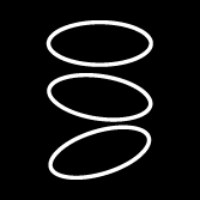 Entropic Avatar