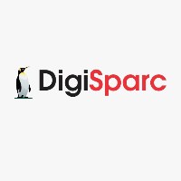 DigiSparc Avatar