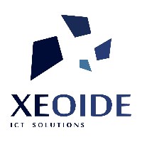 XEOIDE SRL Avatar