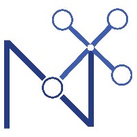 NexusXperts Avatar