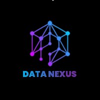 Data Nexus Avatar