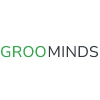 GROOMINDS INNOVATION Avatar