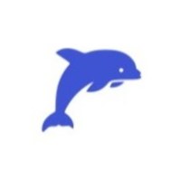 The Dolphinne Technologies Avatar