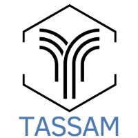 Tassam AI Avatar