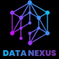 Data Nexus Avatar