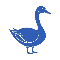 Sho.IT - Full Stack Development Agency Avatar