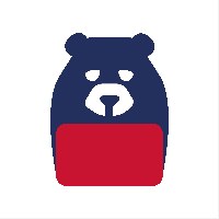 Bear in Studio Avatar
