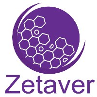 Zetaver Avatar