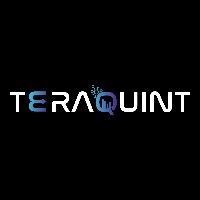 TeraQuint INC. Avatar