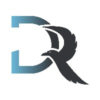Design Ravens Avatar