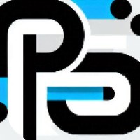 PrimeAssist Solutions Avatar