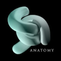 SA Anatomy Avatar