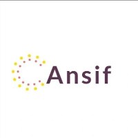 ANS Software Services Avatar
