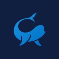 belugaflow Avatar