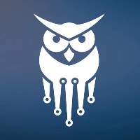 Cyber Wise Consulting Avatar