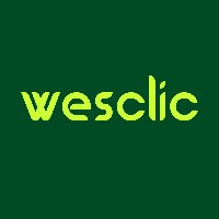 Wesclic Studio Avatar
