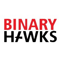 Binary Hawks Avatar