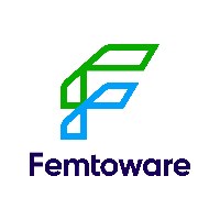 Femtoware Infotech Avatar