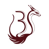 Batura Studios Avatar
