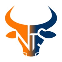 NTS Avatar