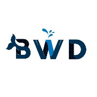 BlackWhaleDev Avatar