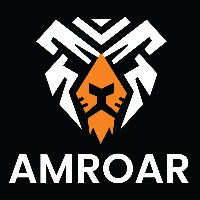 Salesforce Consulting and Implementation Services - Amroar Technologies Avatar