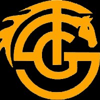SGT Infotech Avatar
