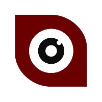 Bird Eye Studios Avatar