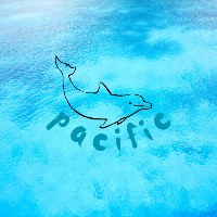 The Pacific Technology Avatar