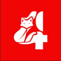 Four Fox Digital Avatar