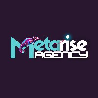 Metarise Agency Avatar