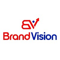 Brand Vision Avatar