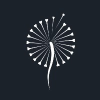 Little Wishtree Creatives Avatar
