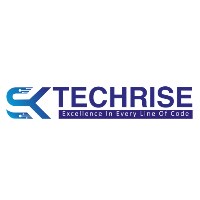 SK TechRise Avatar