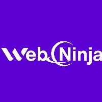 Web Ninja Crew Avatar