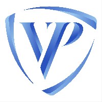 Virtual Paladins Avatar