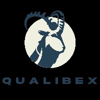 Qualibex Avatar