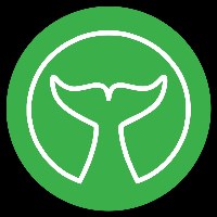 White Whale Solutions Avatar