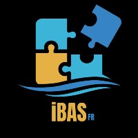iBAS Software Avatar